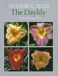 Hemerocallis, the Daylily by R.W. Munson (1993, Paperback)