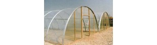 DreamScape Greenhouse and More