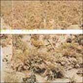 Lineage Situation [Digipak] by Neil Perry (CD, Nov-2005, 2 Discs, Level Plane Records)