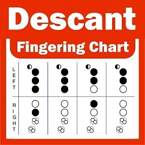 Descant and Tenor Recorder Fingering Chart - NEW - Finger Guide | eBay