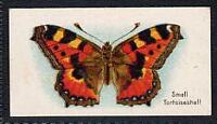 Butterflies On Cigarette Cards (Collectables) - Natural