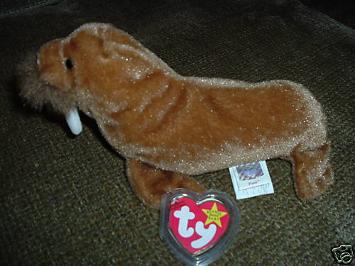 TY Beanie Baby Walrus Paul Retired 1999 WT  