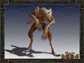 thewilcat