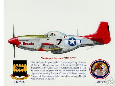 Tuskegee Airmen Roscoe Browns Bunnie by Willie Jones  