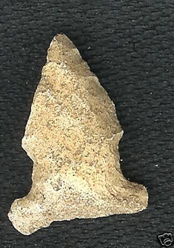 Florida Indian Arrowhead, Bolen Beveled  