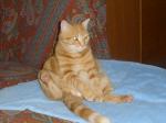 antonio19590_1