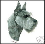 Mini Schnauzer Cropped E ARS Dog Fabric Quilt Sew
