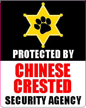 PROTECTED BY CHINESE CRESTED SECURITY AGENCY STICKER  